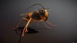 Wasp Game Ready 4k Textures Low-poly  3D model