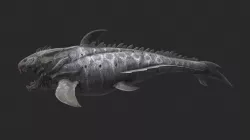 Animal - Dinosaur sea 22 3D model