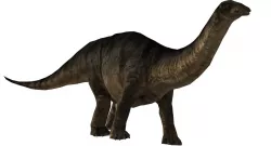 Animal Game ready - brontosaurus 3D model