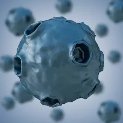 Bacterium 2 Low-poly  3D model