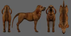 bloodhound dog  Low-poly  3D model