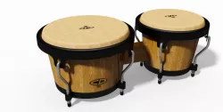 Bongo 3D model