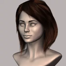 Brown hair eyelashes eyebrows 3D model