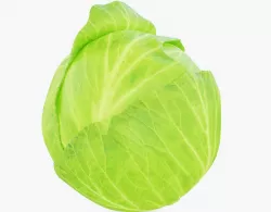 Cabbage Vegetable 3D model