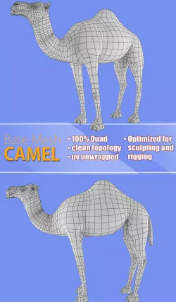 Camel Base Mash Low-poly  3D model