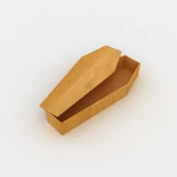 Coffin 3D model