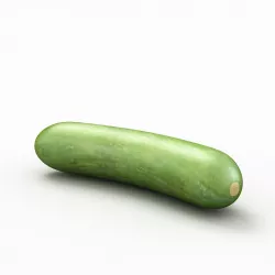 Cucumber 3D model
