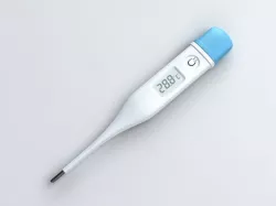 Digital Thermometer 3D model
