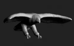 eagle 3D model