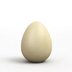 Egg 3D Model 3D model