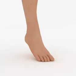 Female Foot 3D model
