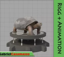 Galapagos-Tortoise 3D model