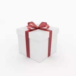 Gift Box 3D model