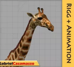Giraffe 3D model