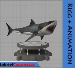 Great White Shark 3D model