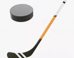 Hockey Stick and Puck Low-poly  3D model