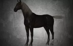 Horse - B6 3D model