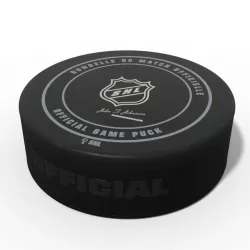 Ice Hockey Puck 3D model