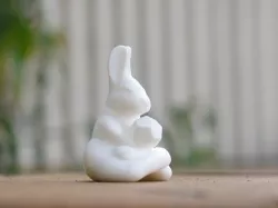 Mysterabbit (smaller file size)