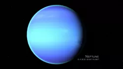neptun 3d max corona rander 3D model