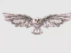 owl in attack mode