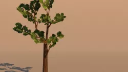 Painted Tree Low-poly  3D model