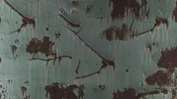 PBR Trash Texture