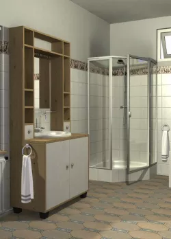 PICK Bath Shower Expansion Set for Poser 3D model