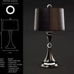 Pieter Adam Odeon PA 815 3D model