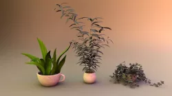 Plants 3D model