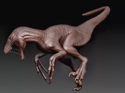 Raptor 3D model