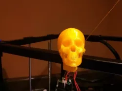 RigidBot Frame Skull