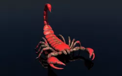 Scorpion 3D model