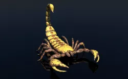 Scorpion 3D model