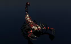 Scorpion 3D model