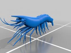 STL file Shrimp Aquarium landing net 🦐・3D printable model to  download・Cults