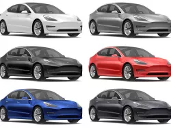 Tesla Model 3 All Colors  3D model