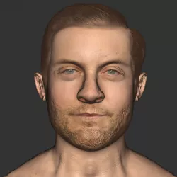 Tobey Maguire realistic head actor movie spider-man 3Dprint  Low-poly  3D model