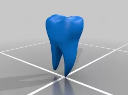 tooth