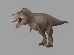 tyrano trex 3D model