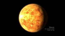 venus 3d max corona rander 3D model