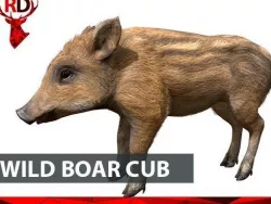 Wild boar cub Low-poly  3D model