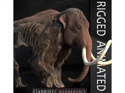 Woolly Mammoth - Mammuthus primigenius Anatomy Pack 3D model