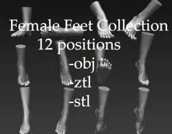 12 Female Feet 3D model