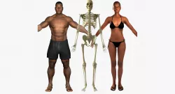 African American Female And Male With Skeleton Rigged 3D model
