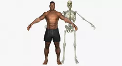 African American Male With Skeleton Rigged 3D model