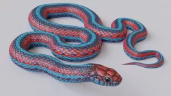 Animated San Francisco Garter Snake Low-poly  3D model