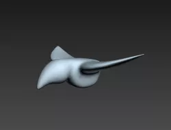 Bird model 3D model