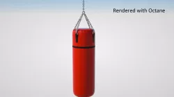 Boxing Bag 3D model