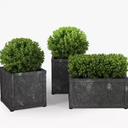 Bushes 3D model